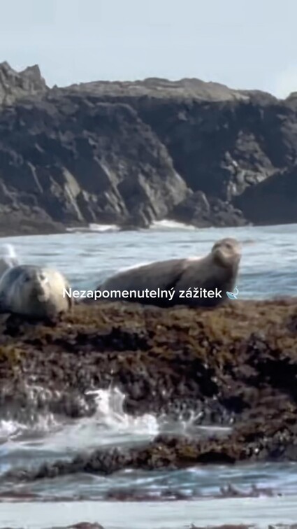 Přála bych každému zažít alespoň jednou ten pocit, když…