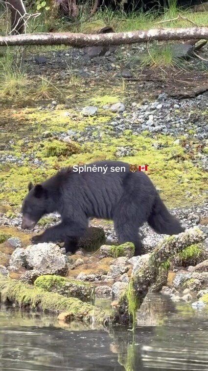 Když se umíte v přírodě chovat tiše a být její součástí,…