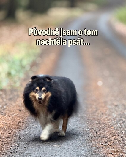 Nakonec se ale o naši zkušenost podělím, protože může pomoct…