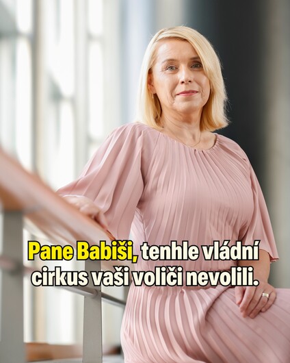 Pane Babiši, probuďte se a začněte konečně vládnout. Vyhráli…