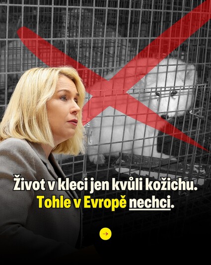 Lepší klec nestačí. Kožešinové farmy musí v Evropě skončit.…